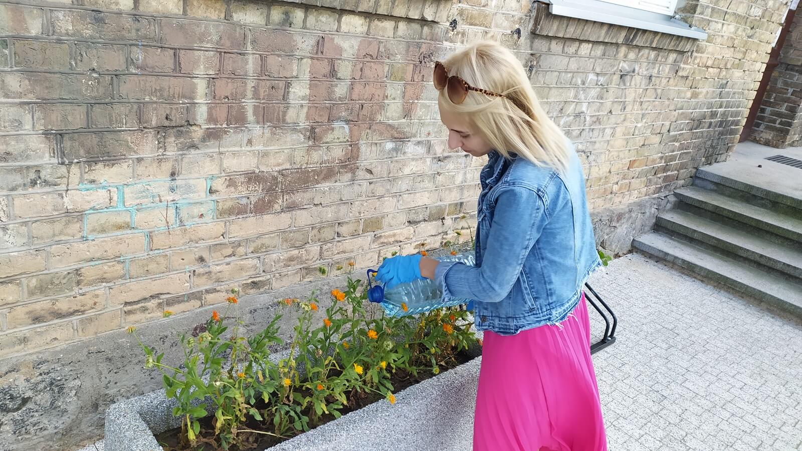 Mieszkańcy Choroszczy mogą "adoptować" miejskie donice i klomby