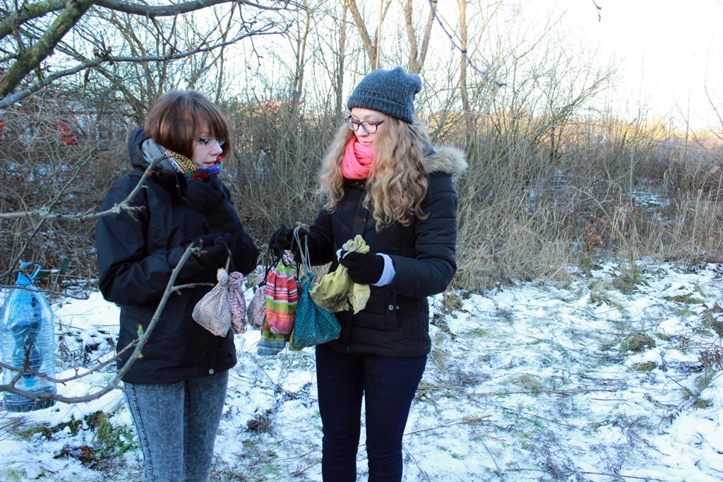 Akcja Karmnik w Białymstoku - na uniwersyteckim kampusie padł rekord w obrączkowaniu ptaków