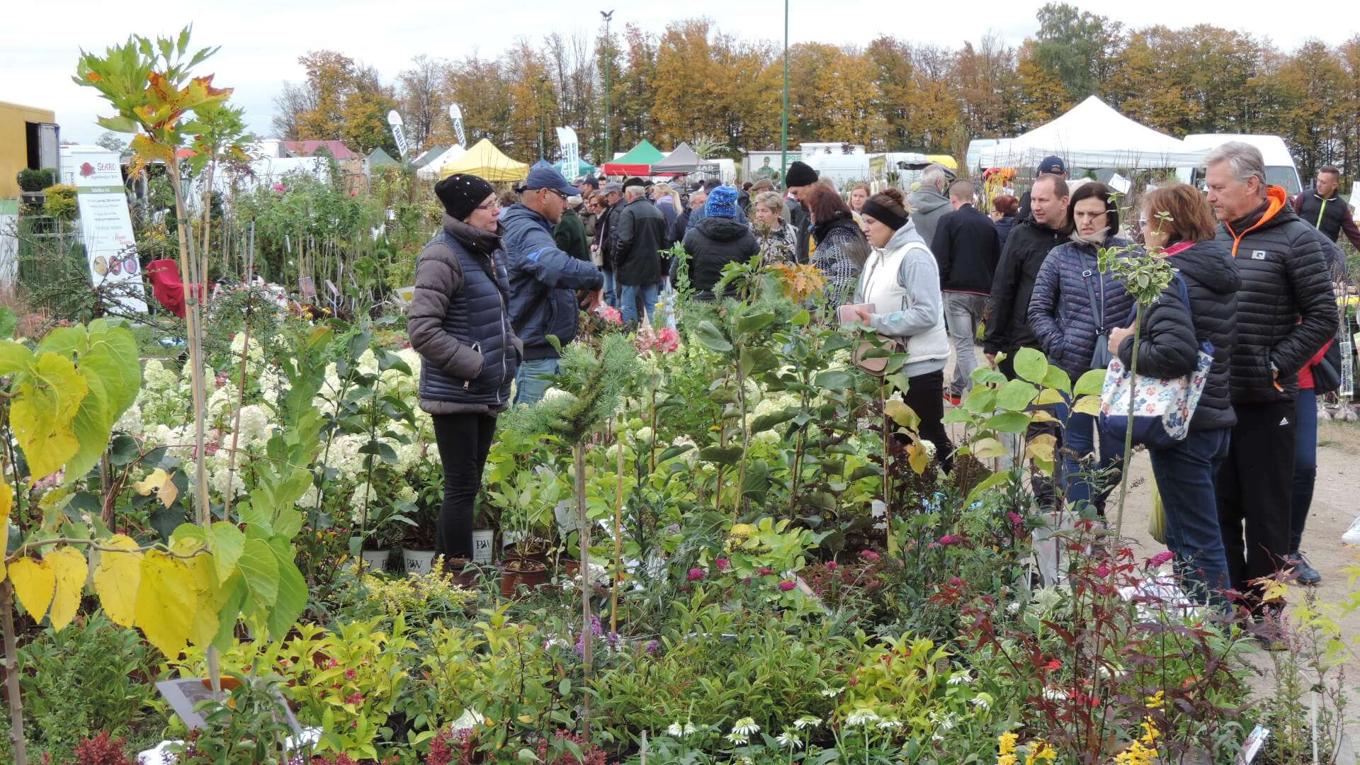 Targi ogrodnicze "Jesień w sadzie i ogrodzie" w Szepietowie