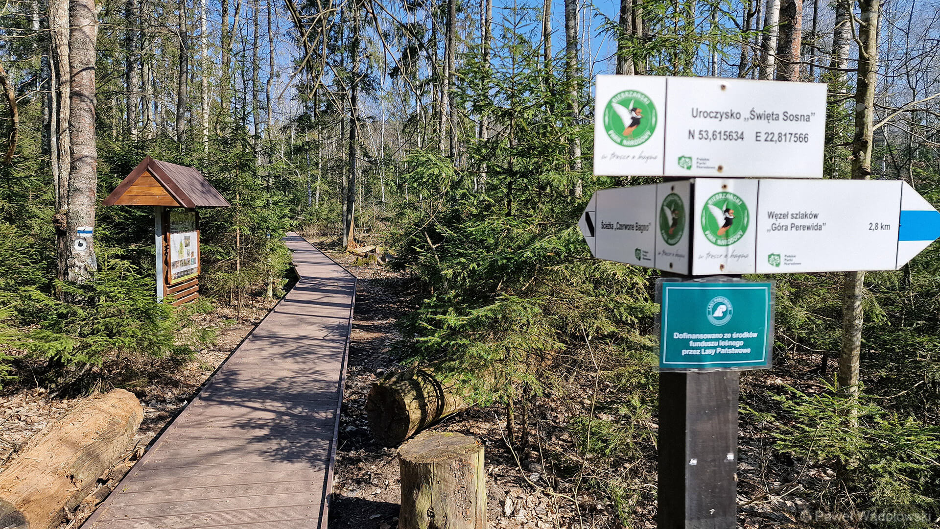 To tereny najcenniejsze przyrodniczo - obchodzimy Europejski Dzień Parków Narodowych