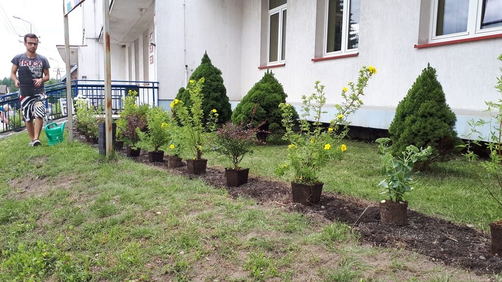 Chcą upiększyć miejską przestrzeń - władze Choroszczy i mieszkańcy zasadzili wspólnie kwiaty