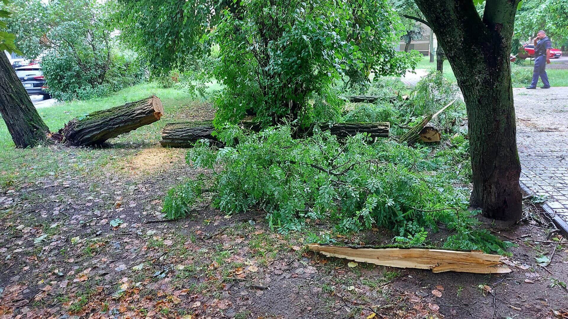 Burze w Podlaskiem - strażacy od rana mieli ponad 30 interwencji