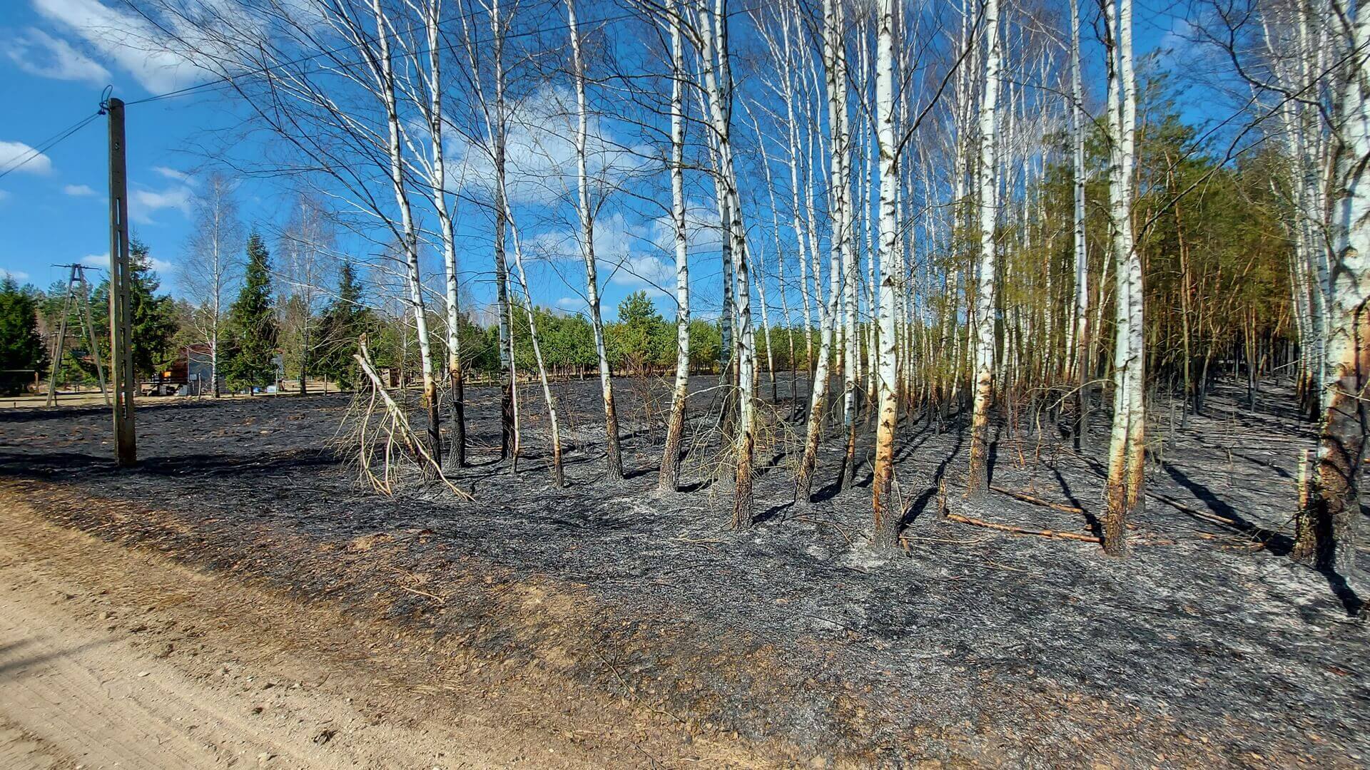 Prawdopodobnie wypalanie traw było przyczyną pożaru w Budach niedaleko Michałowa