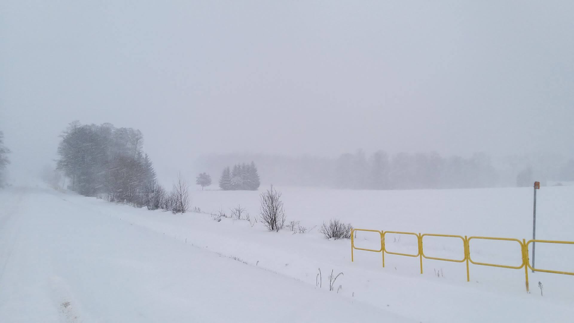 Zima nie odpuszcza - w Podlaskiem wciąż będzie padał śnieg