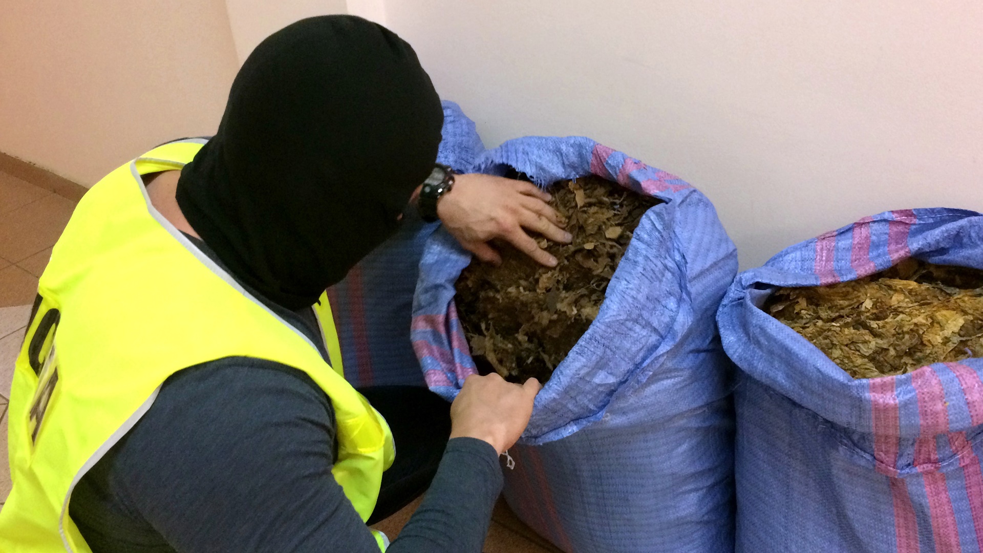 Na terenie powiatu suwalskiego ujawniono tytoniową kontrabandę