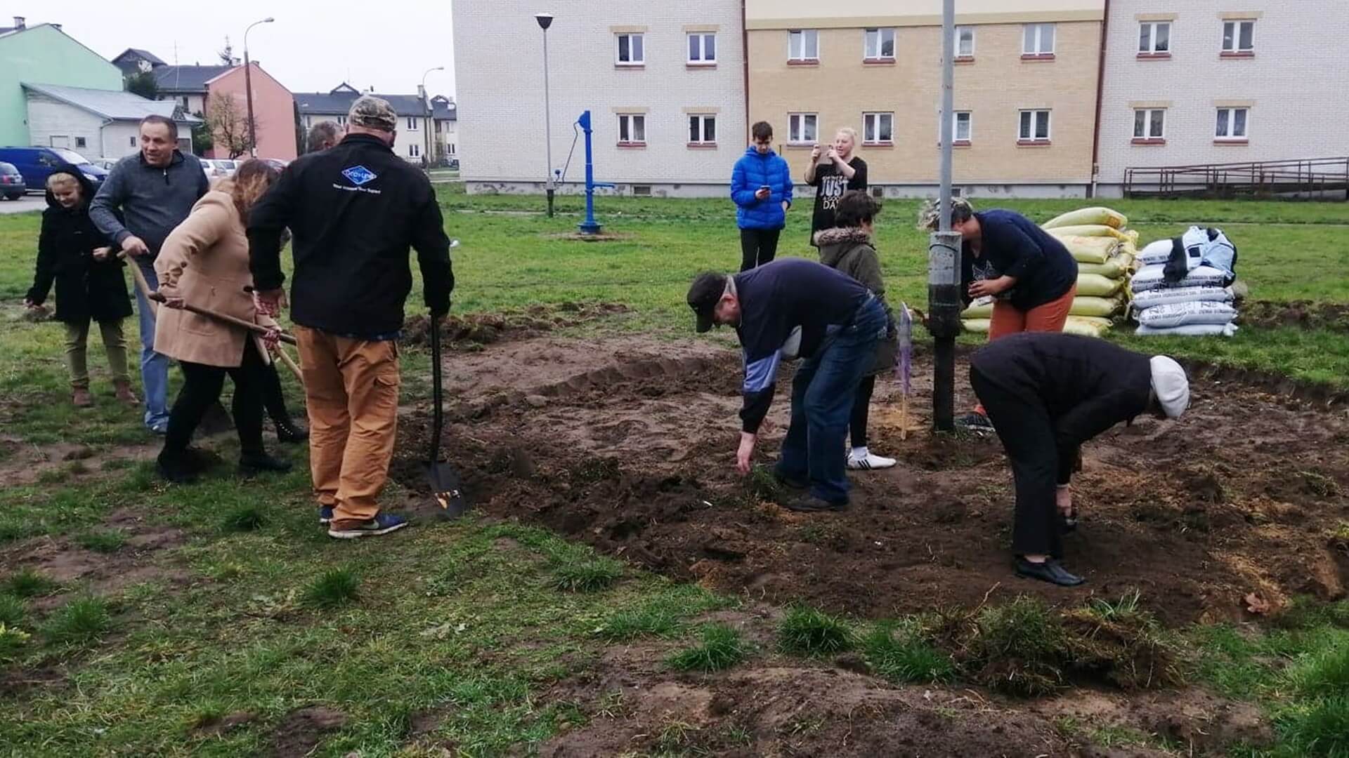 "Wrzosowe pole - odrobina Szkocji na Barszczańskiej" - mieszkańcy osiedla posadzili 90 sadzonek