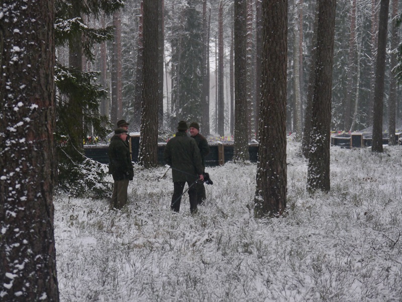 Kolejne głuszce trafiły na wolność w Puszczy Augustowskiej