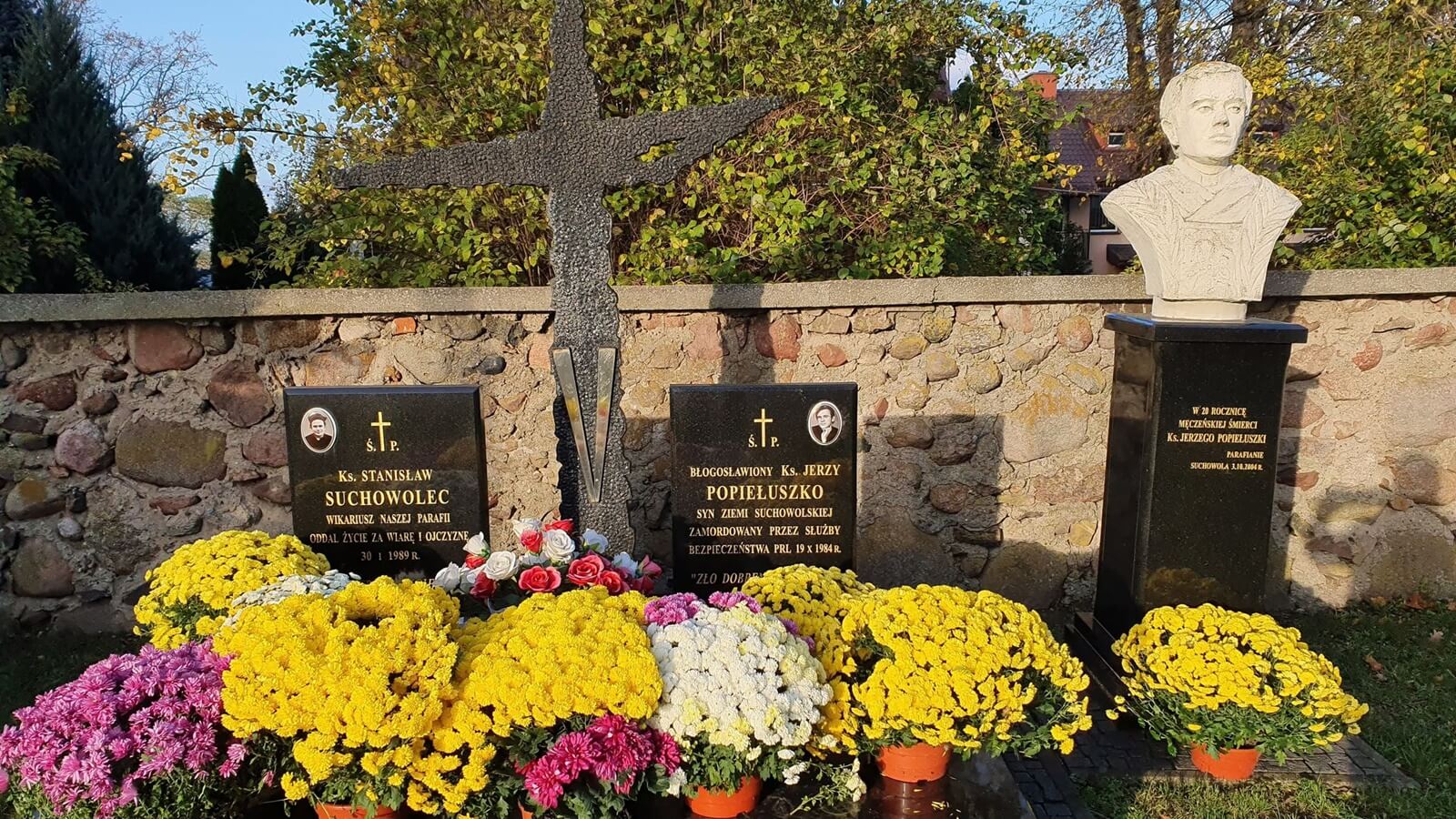 Chryzantemy odkupione od plantatorów zdobią pomniki i groby poległych za Ojczyznę