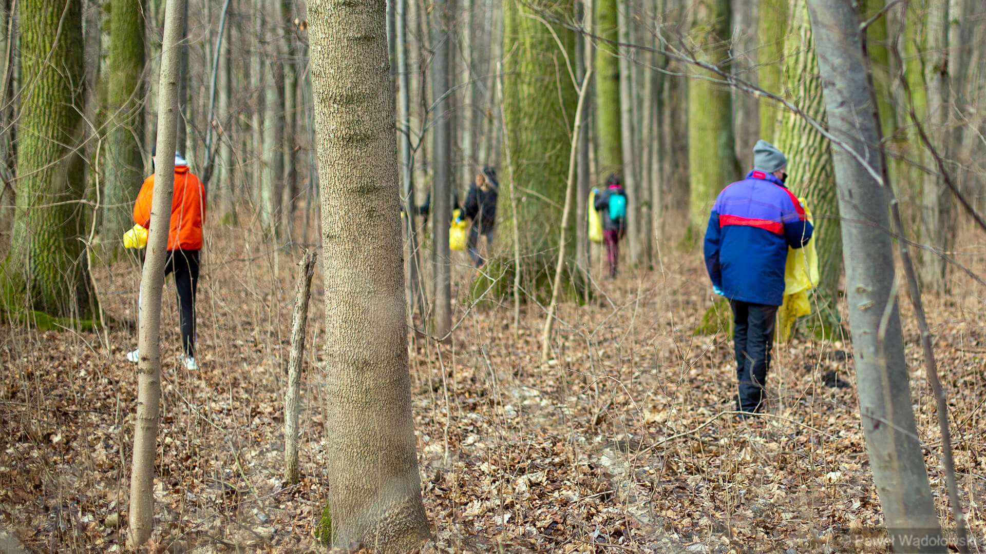 Białostocka Młodzież Wszechpolska zachęca do sprzątania lasów w majówkę