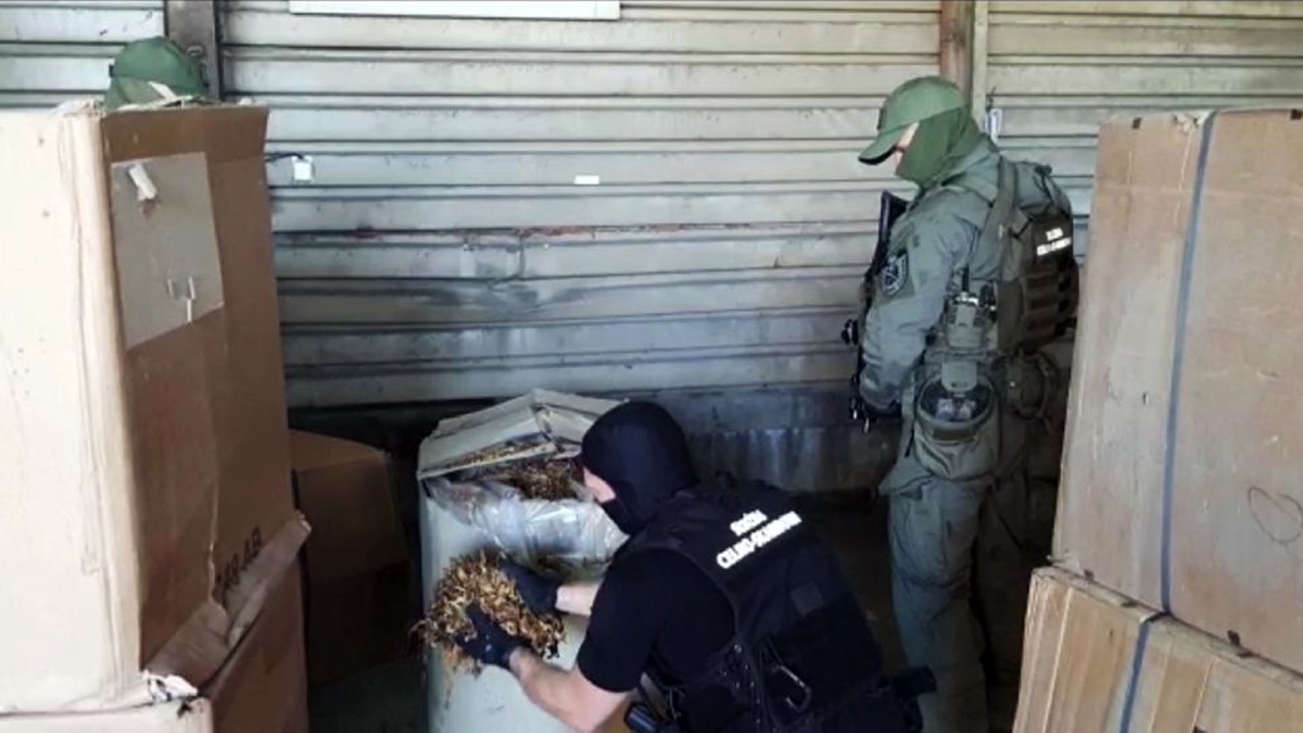 KAS zabezpieczyła ponad 20 ton suszu tytoniowego; prawdopodobnie miał trafić do nielegalnych fabryk