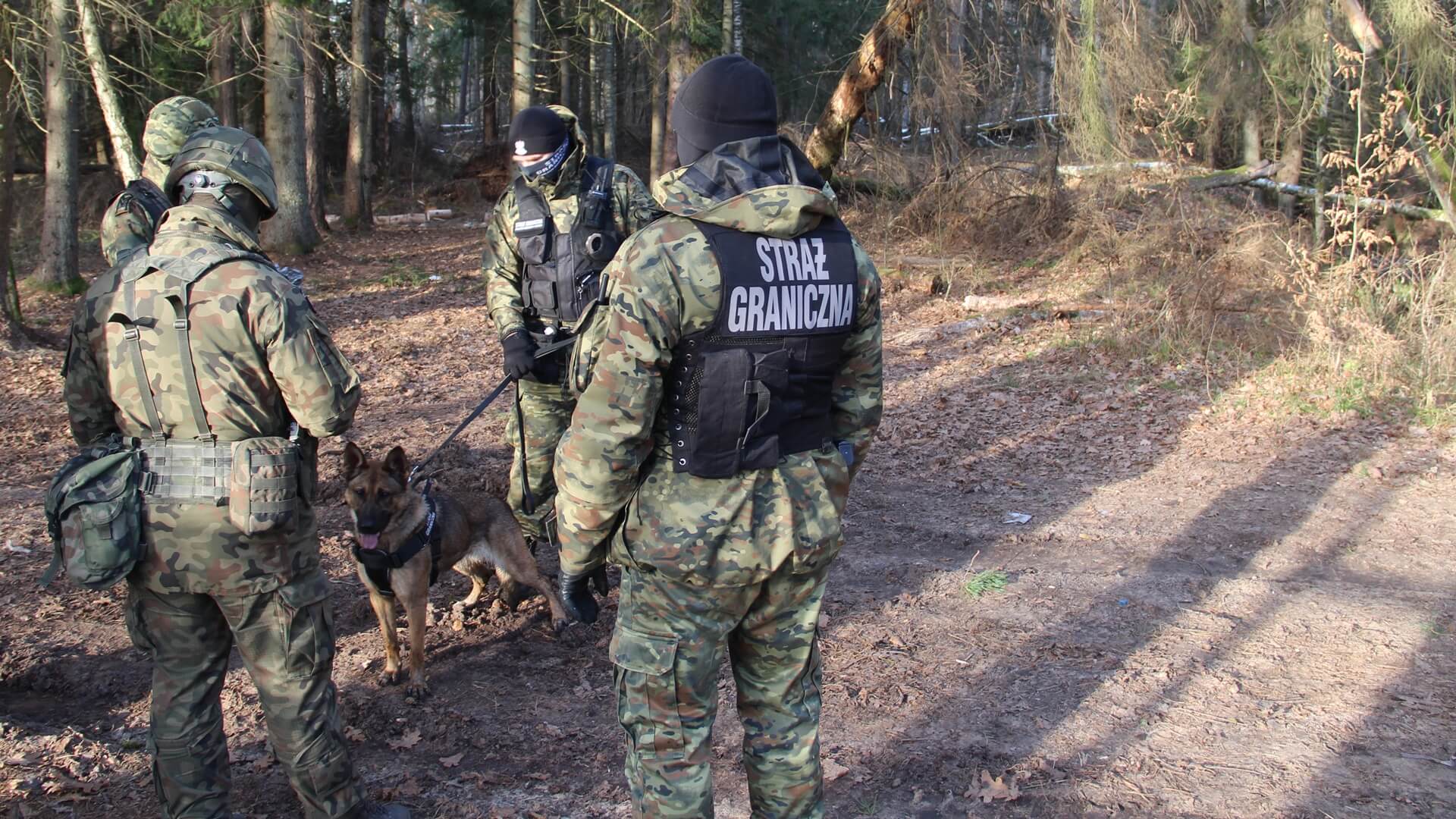 Funkcjonariusze Straży Granicznej będą wyposażeni w tarcze ochronne