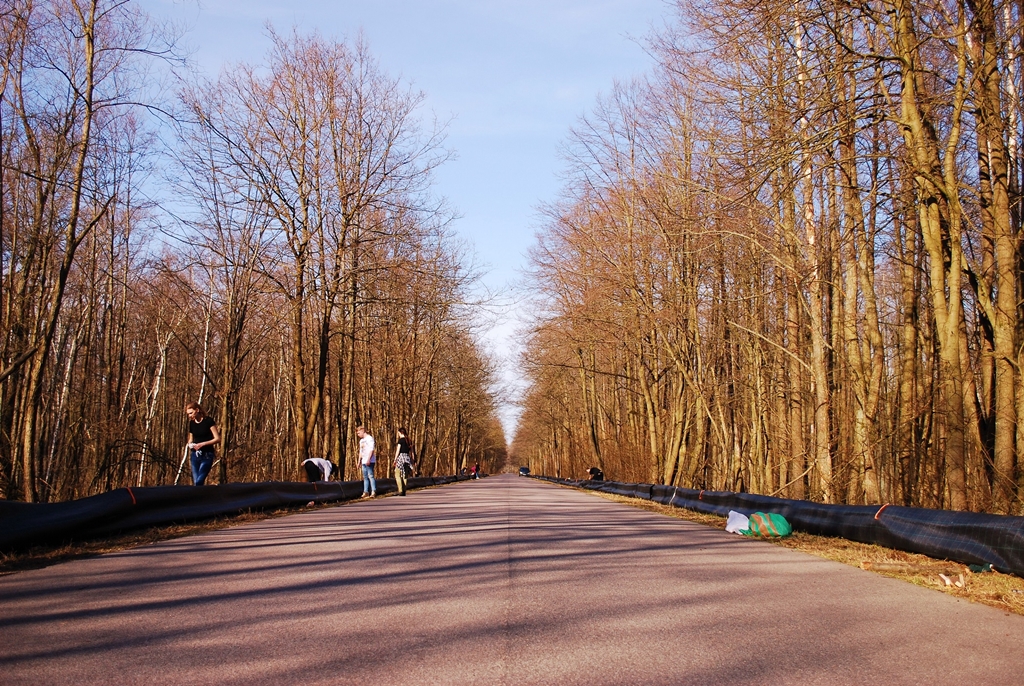 Rozpoczęła się wiosenna akcja ochrony płazów w Podlaskiem