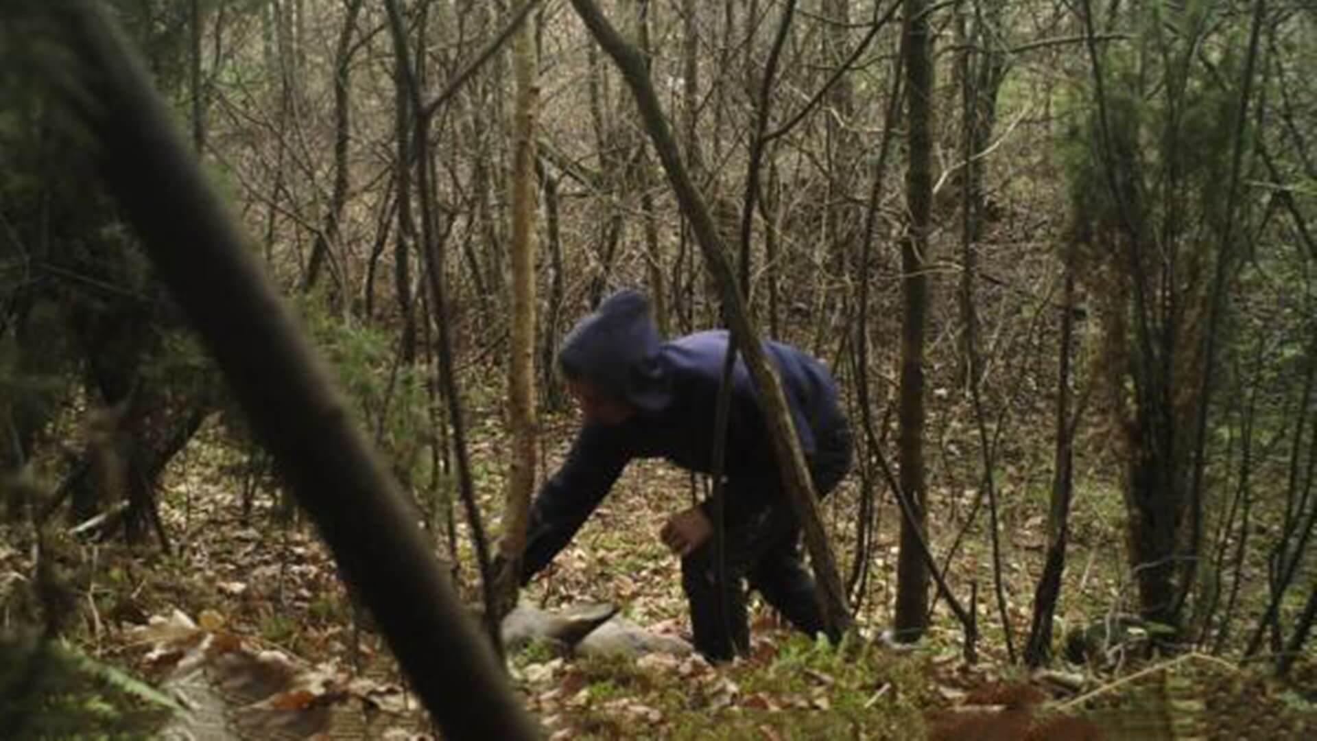 Kłusownicy zatrzymani na gorącym uczynku w gminie Miastkowo