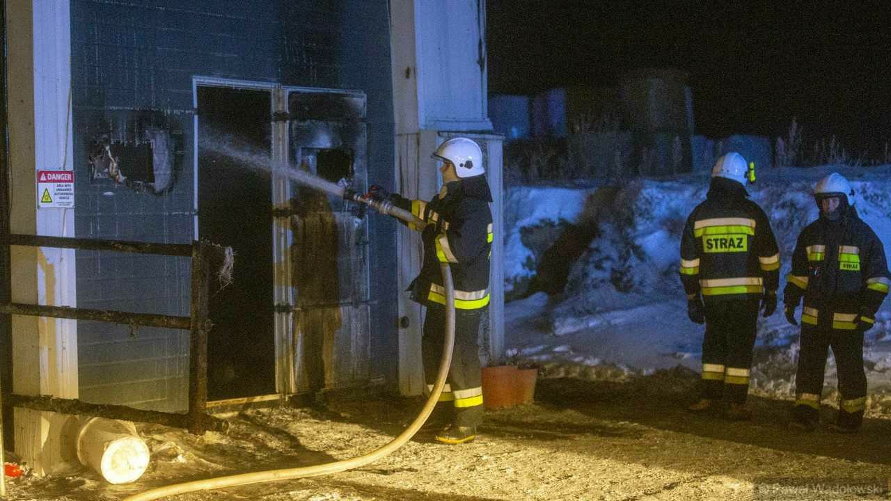 Ponad 100 krów zginęło w pożarze, do którego doszło w Wierzbowie koło Łomży [zdjęcia]