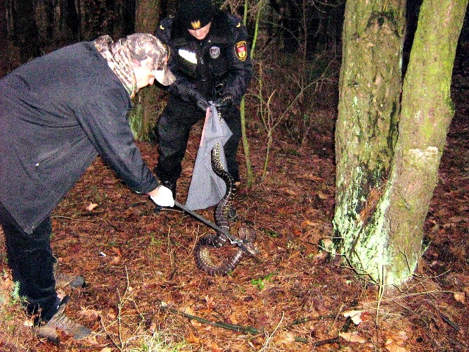 Białystok:  Ekopatrole Straży Miejskiej