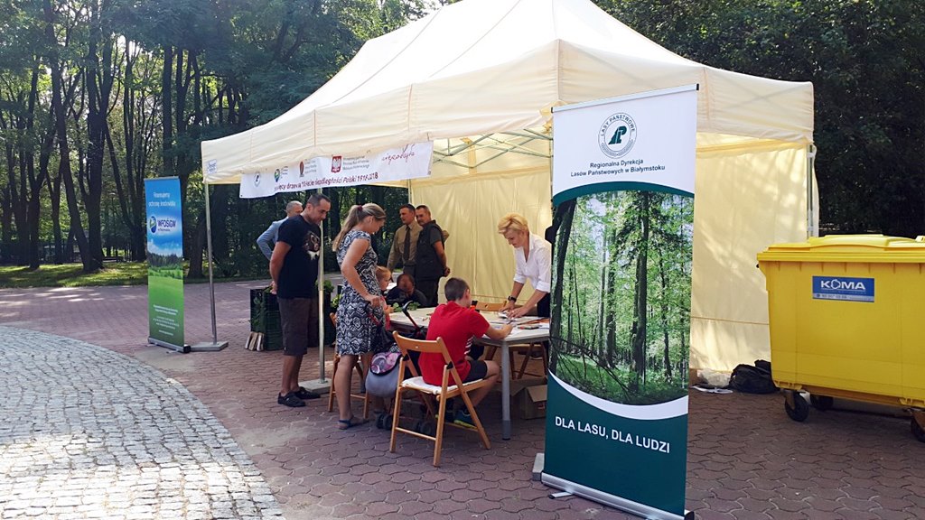 "100 tys. drzew na 100-lecie niepodległości Polski"