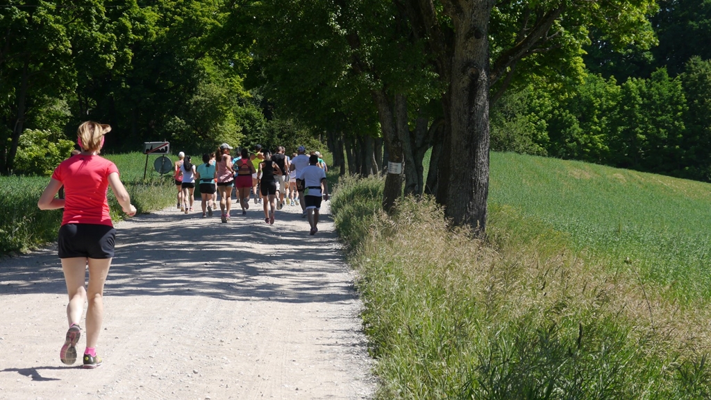 Ok. 40 zawodników biegło ścieżkami Wigierskiego Parku Narodowego - zakończyły się zawody Kierunek Ultra