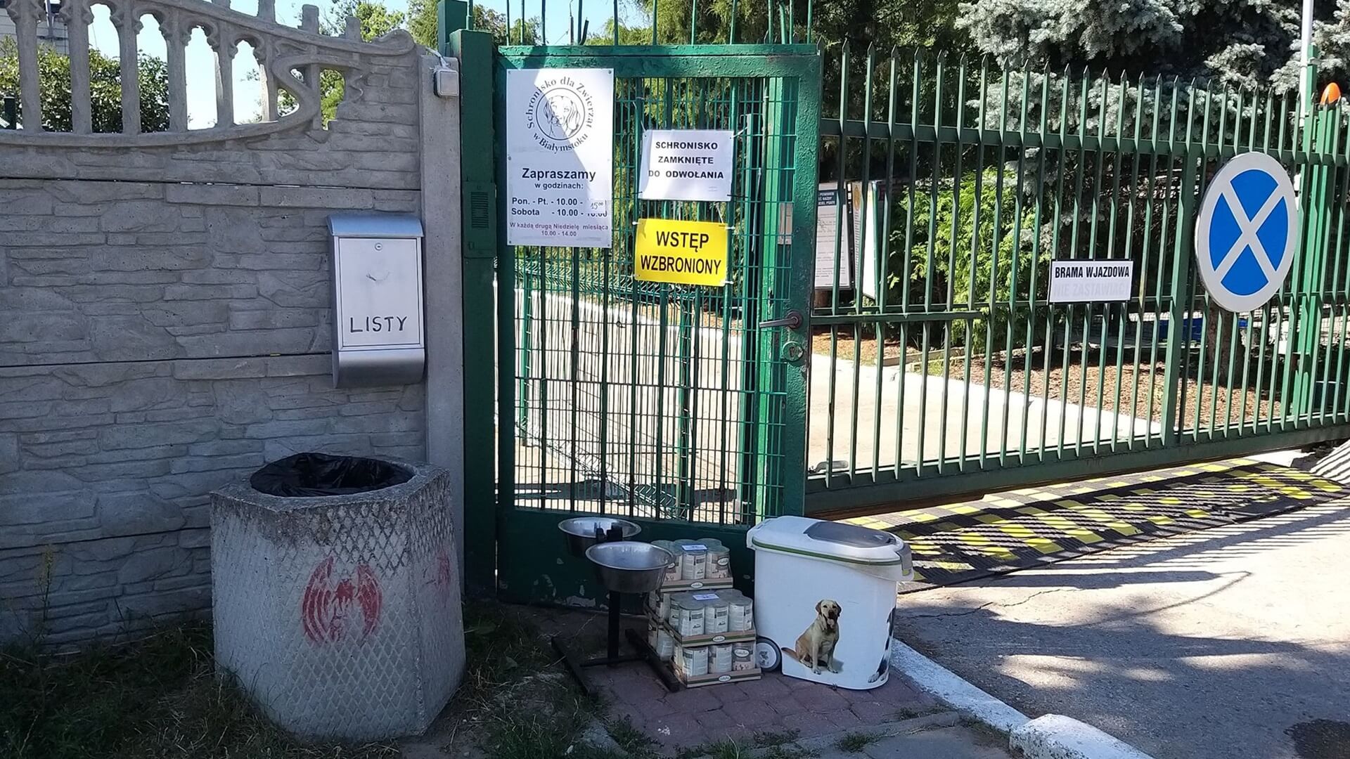 Wszyscy możemy pomóc psom z białostockiego schroniska