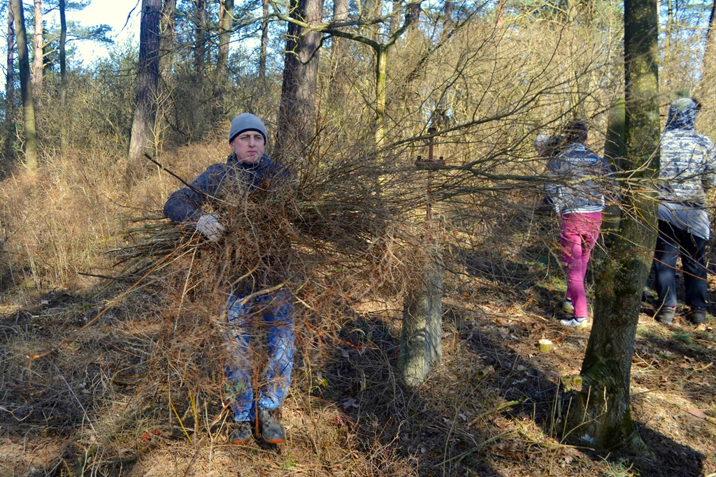 Wolontariusze sprzątali opuszczony cmentarz ewangelicki w Józefowie