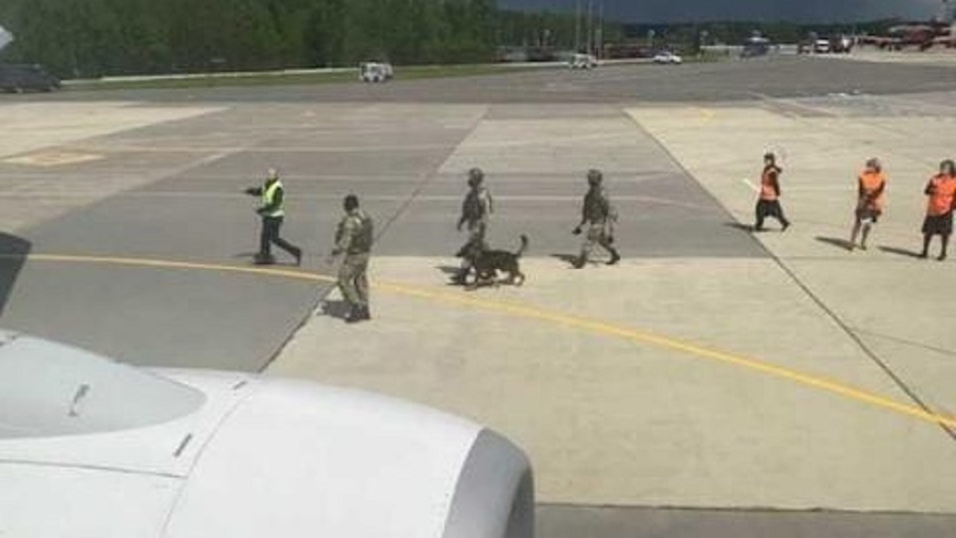 Białoruskie władze wymusiły lądowanie samolotu - aresztowano Romana Protasiewicza