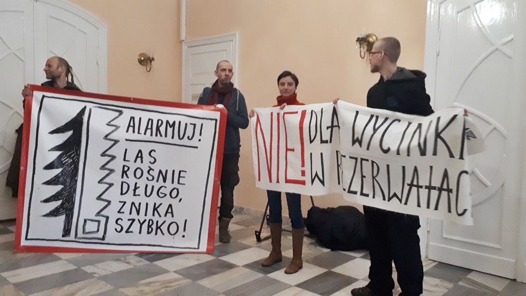 Zamieszanie wokół dokumentów umożliwiających wycinanie i wywożenie drzew z rezerwatów Puszczy Białowieskiej