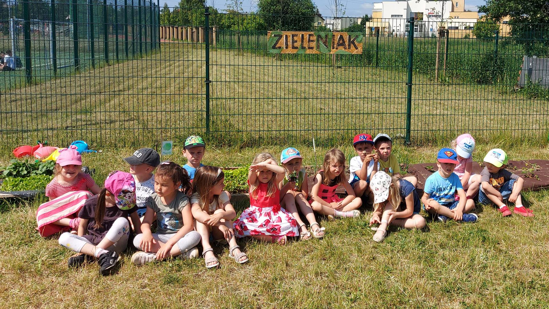 Rzodkiewka i sałata z przyszkolnego "zieleniaka"