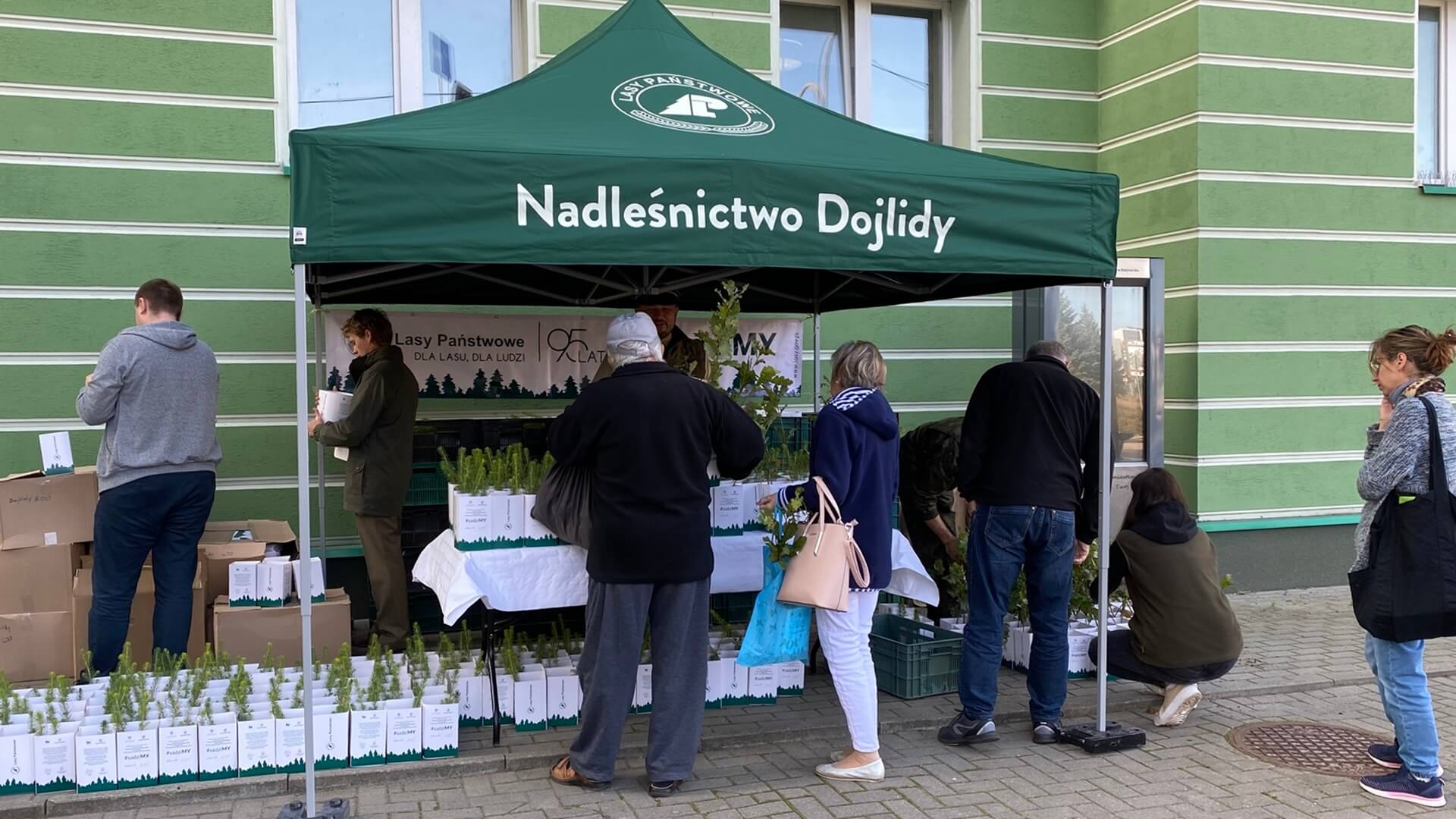 Leśnicy rozdają sadzonki drzew - akcja sadziMY