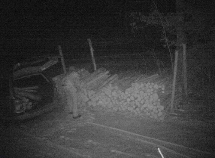 Strażnicy z Nadleśnictwa Czarna Białostocka zatrzymali złodzieja drewna