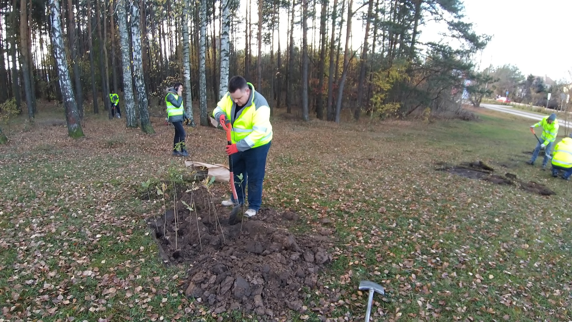 Jedna z firm budowlanych zasadziła w Białymstoku 200 drzew