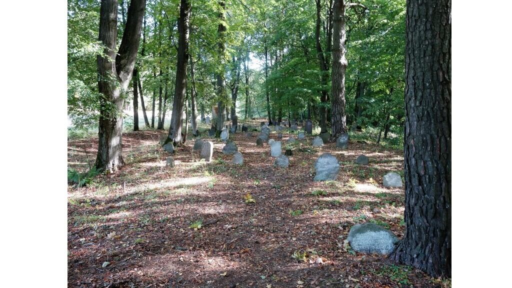 Cmentarz żydowski w Knyszynie został wpisany do rejestru zabytków