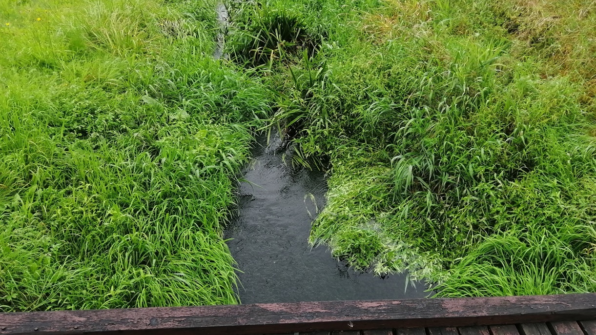 Ul. Nadrzeczna w Krynkach podczas burz jest zalewana - mieszkańcy chcą, aby ktoś udrożnił ciek