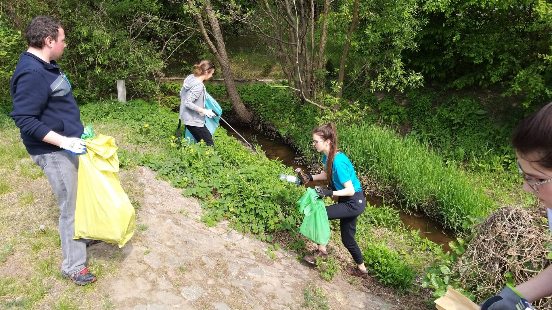 Wielkie sprzątanie w Puszczy Białowieskiej i w Białymstoku