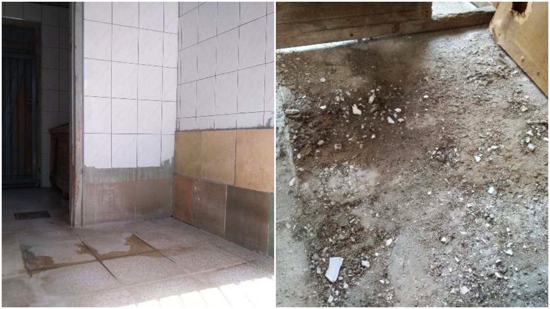 Pilnie potrzebny remont boksów w białostockim schronisku - można się dorzucić do zbiórki