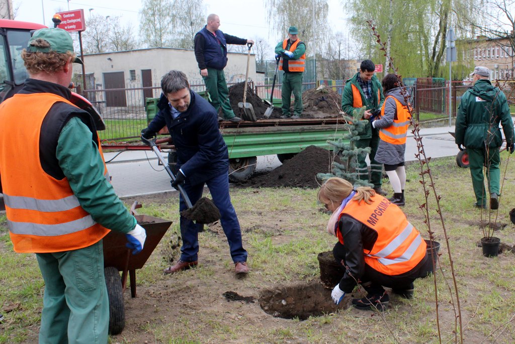 Ponad sto drzew i drugie tyle krzewów zasadzono w Łomży - obchody Dnia Ziemi