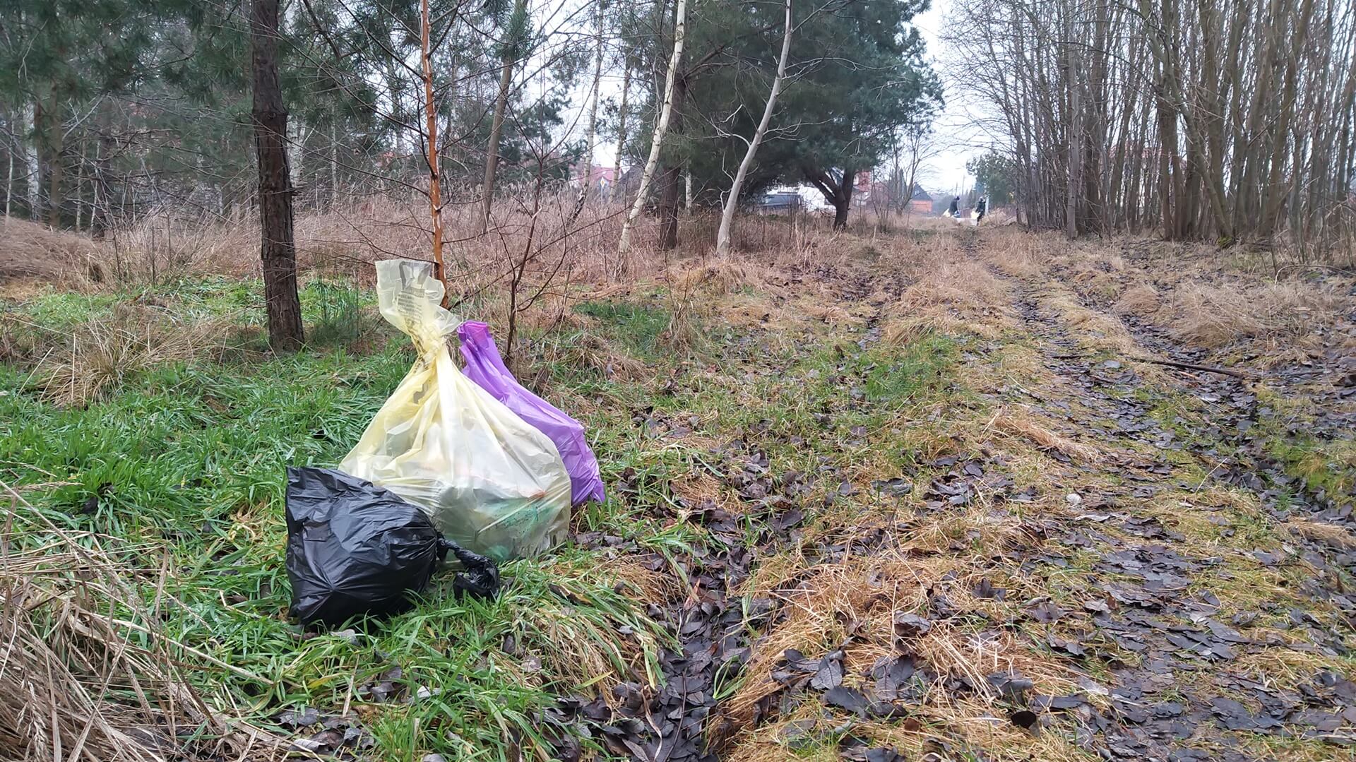 Międzynarodowy Dzień Ziemi. Z tej okazji wspólne sprzątanie lasu