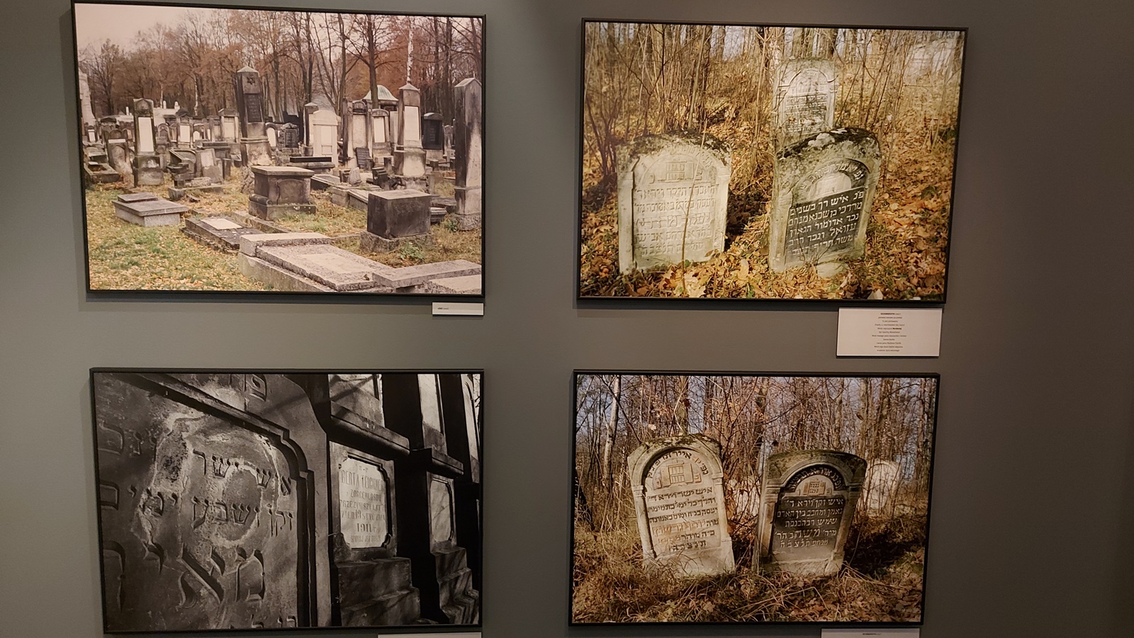 Wystawa fotografii "Sztetle i metropolie" w Centrum im. L. Zamenhofa w Białymstoku