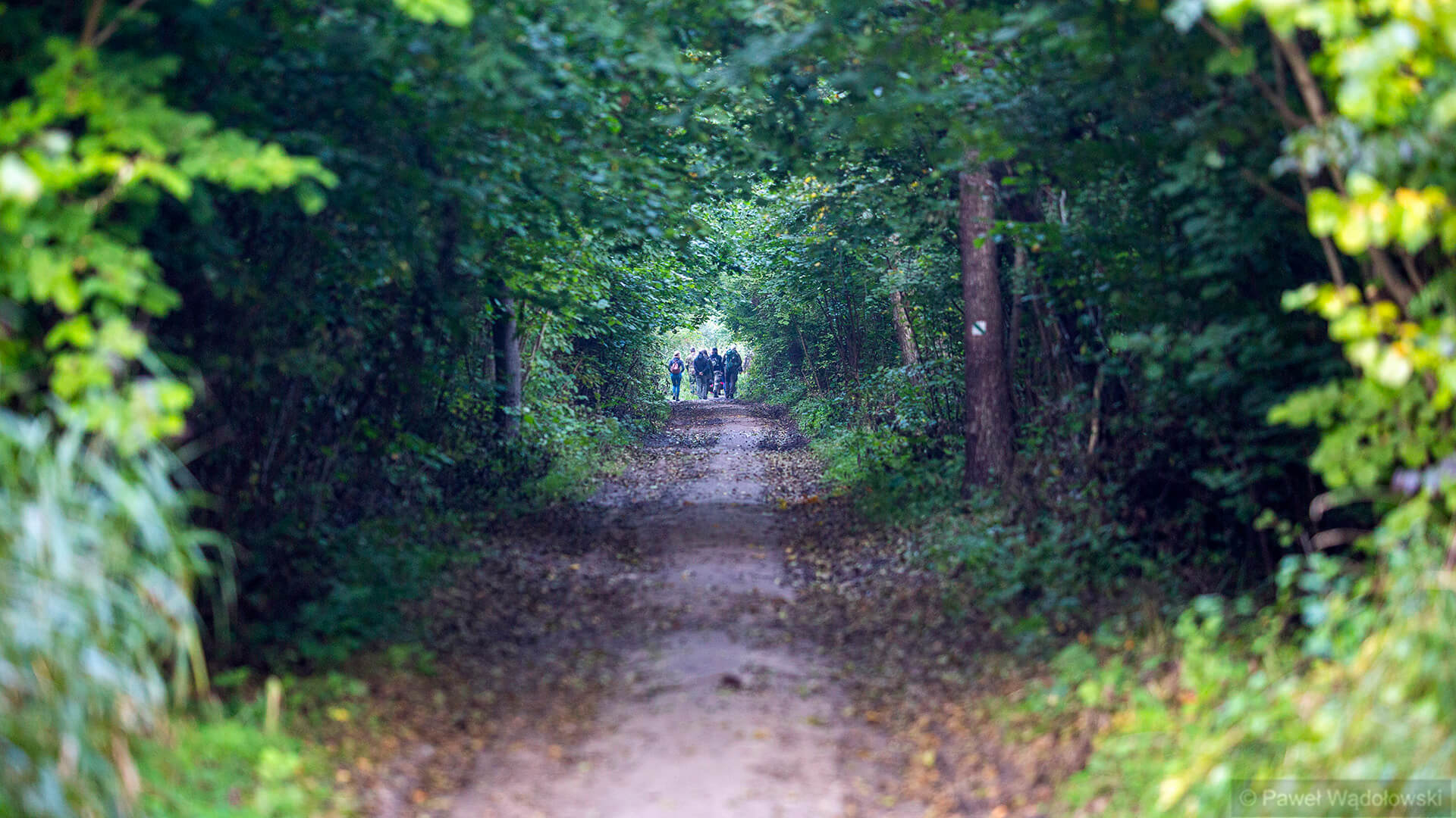 Spotkania z ekspertami, wykłady i spacery w terenie - rozpoczyna się "Wszechnica Biebrzańska"