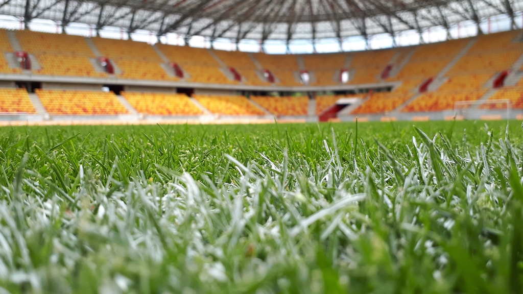 Jagiellonia zagra na nowej murawie - trawa na stadionie do wymiany