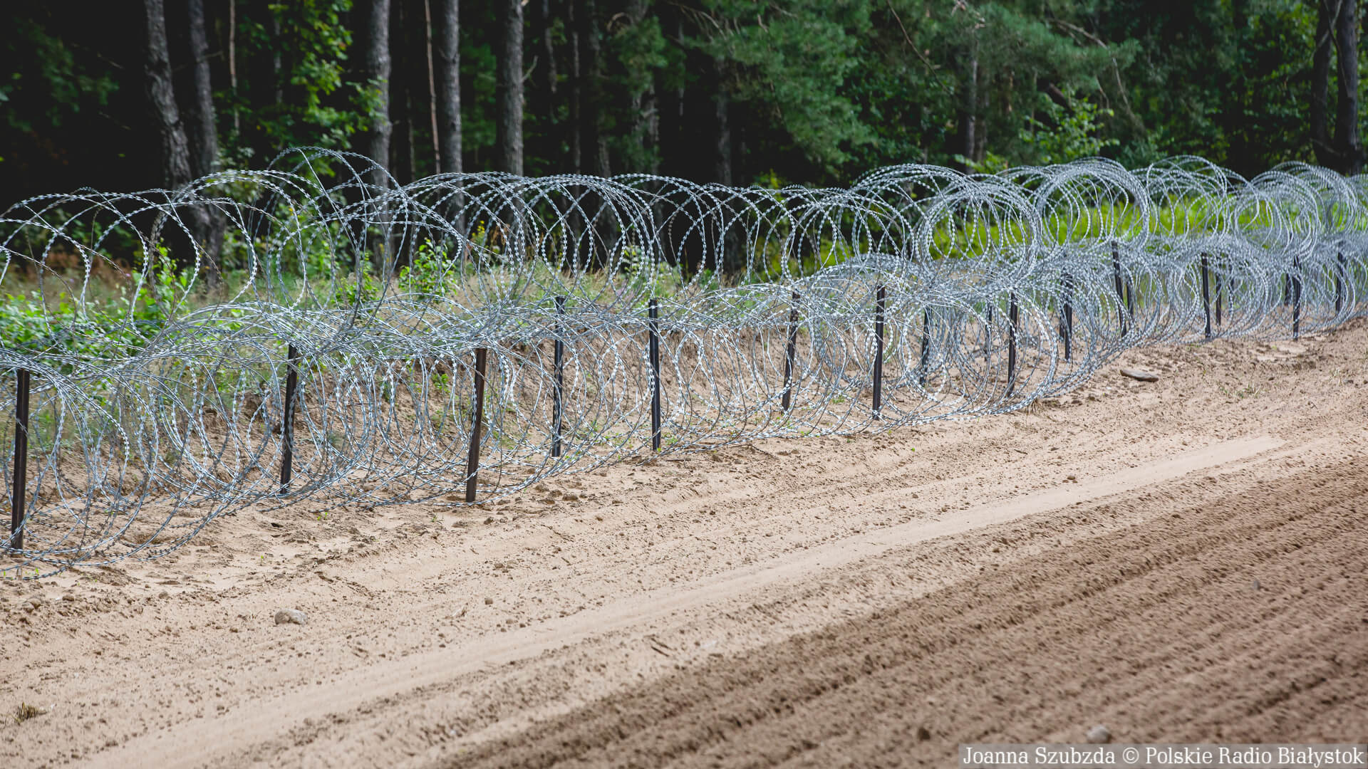 Straż Graniczna wciąż udaremnia próby nielegalnego przekroczenia polskiej granicy z Białorusią