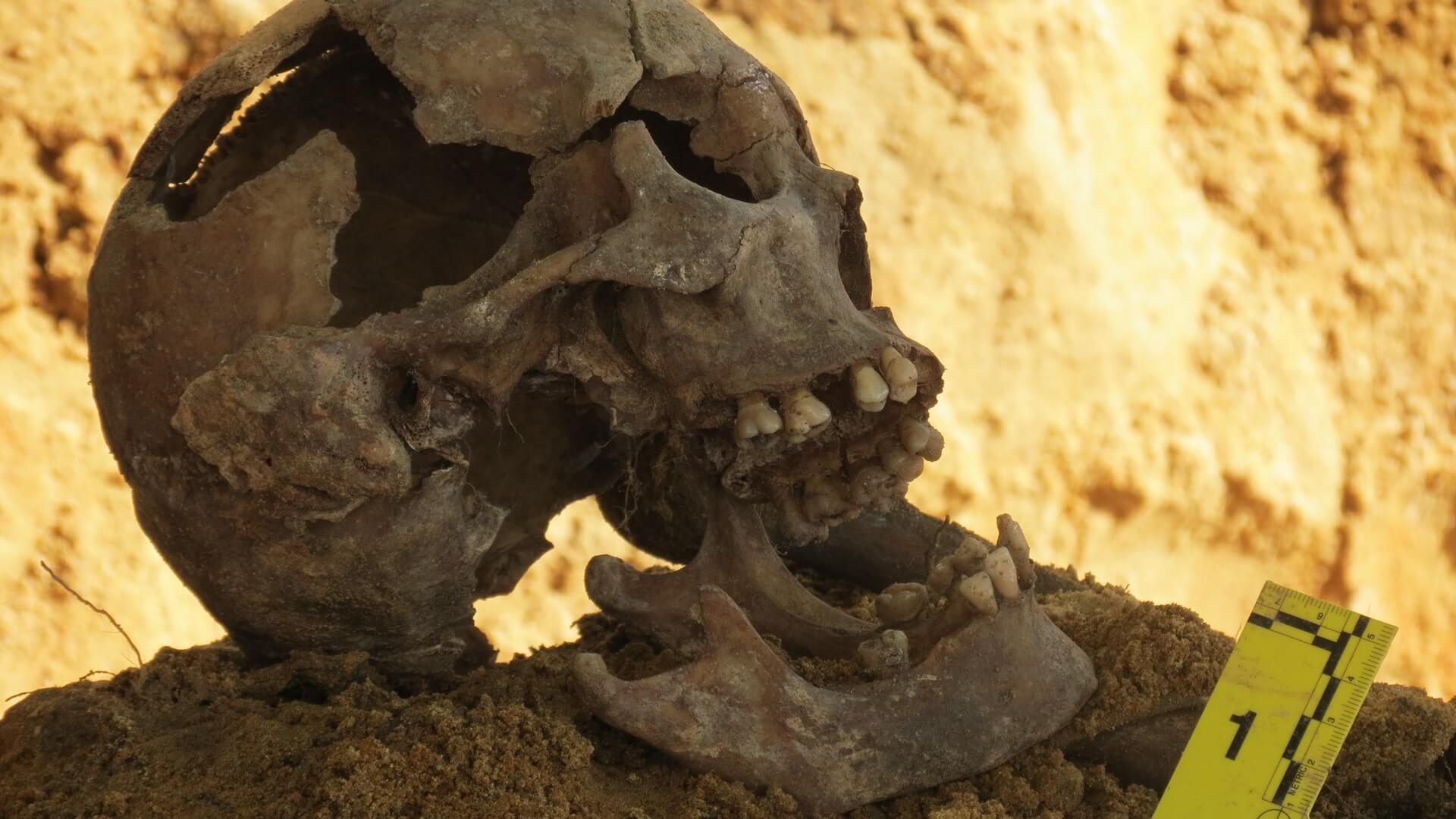 Niedaleko Jedwabnego znaleziono szczątki ciał sprzed kilkudziesięciu lat