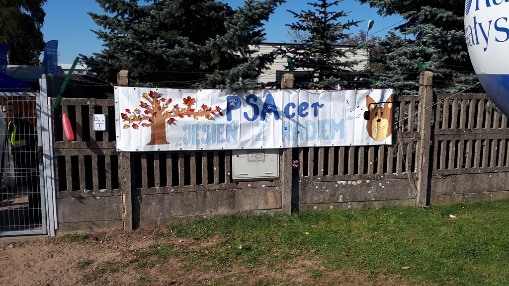 Wolontariat, sytuacja w schronisku i adopcja