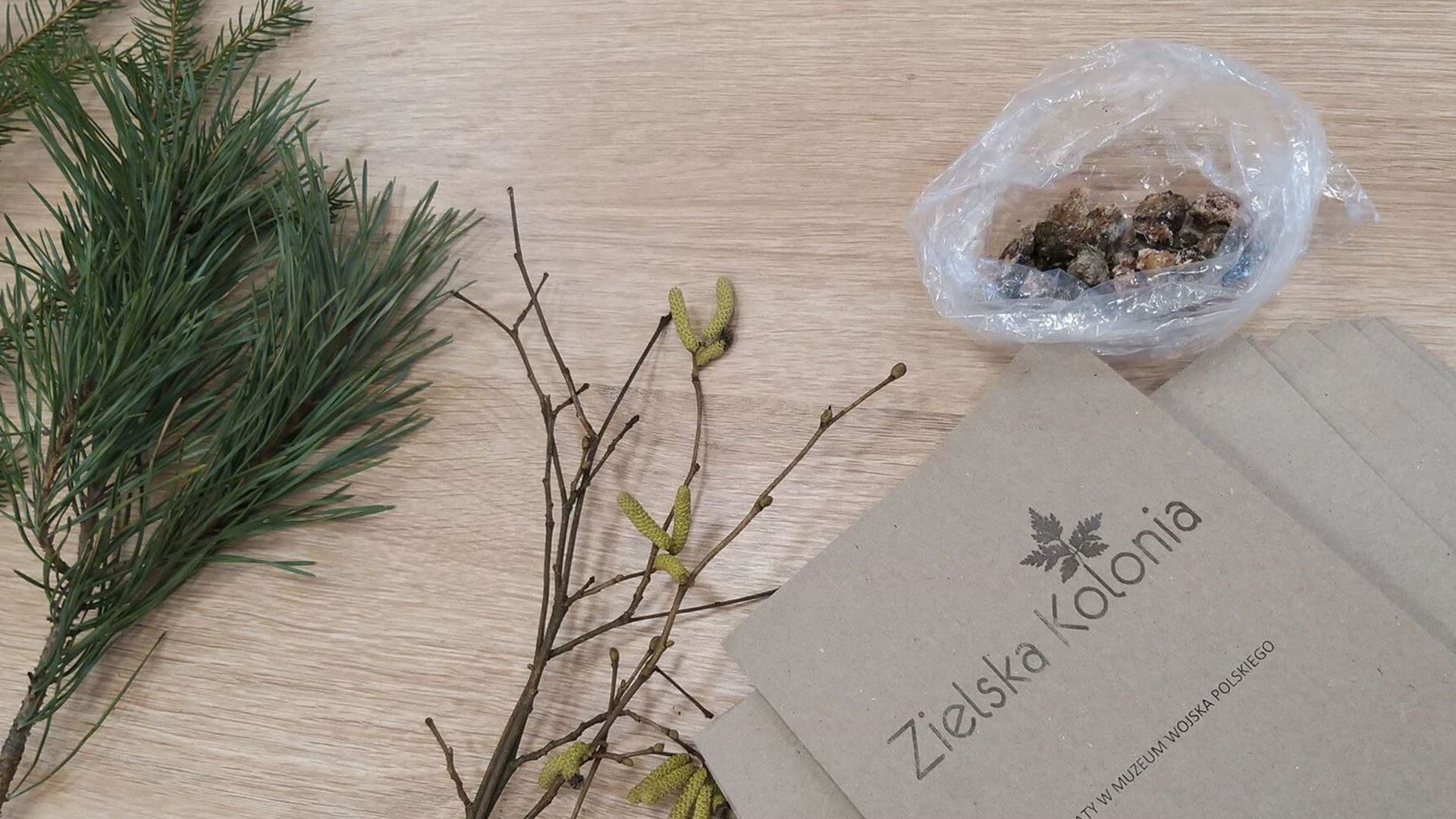 Warsztaty "Ziołowe receptury" w białostockim Muzeum Wojska