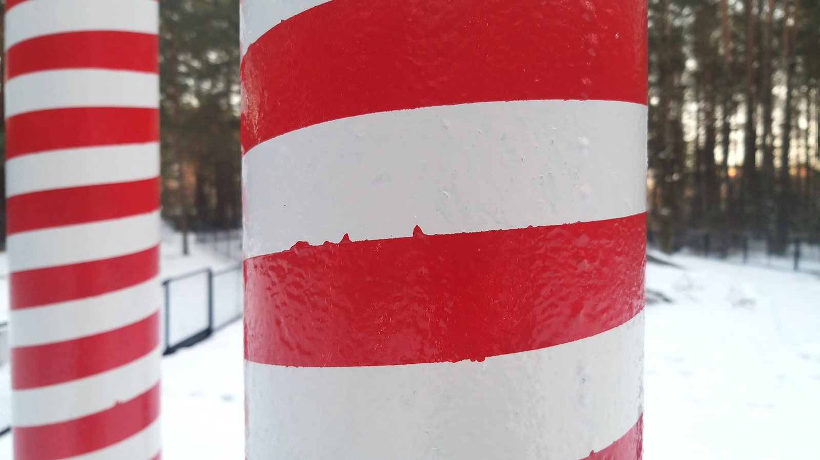 Maszty w Lesie Bacieczki - sposób ich pomalowania wzbudza kontrowersje