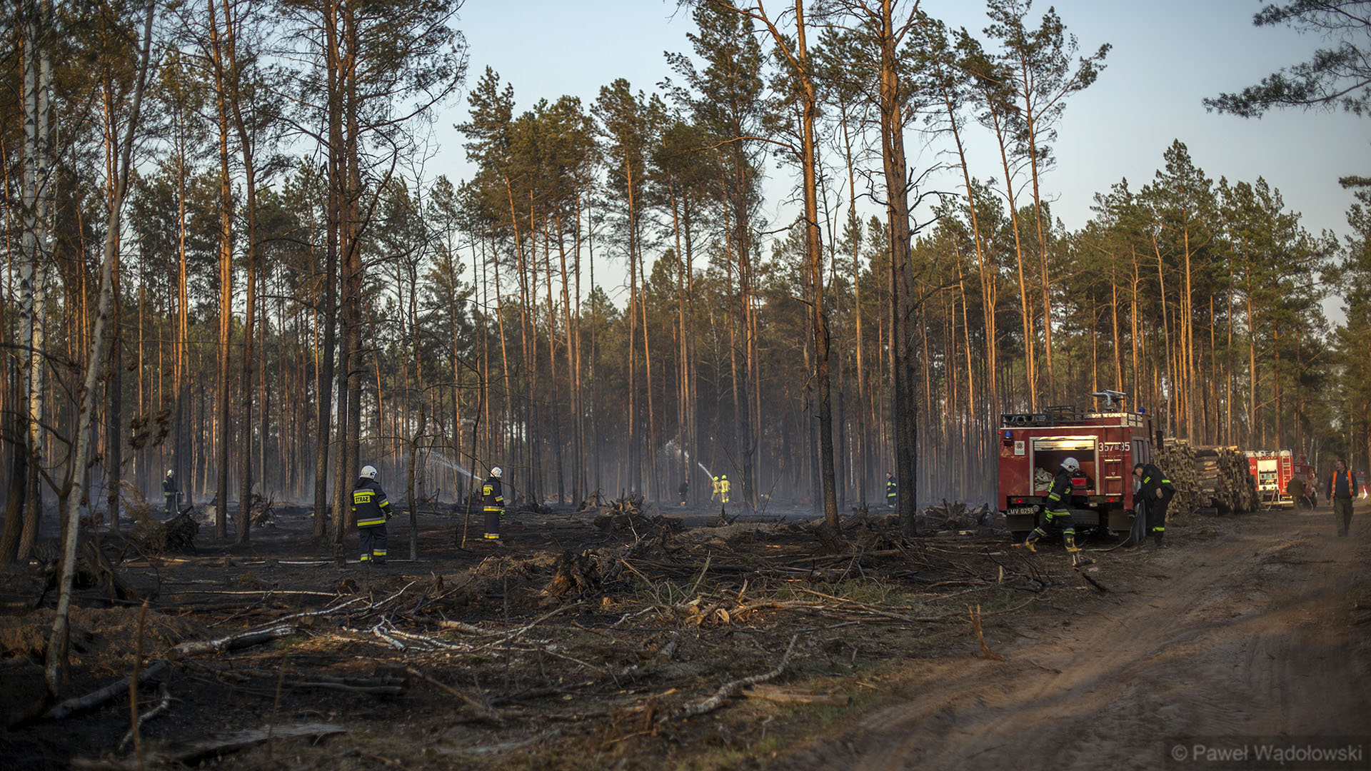 Lasy pod szczególnym nadzorem