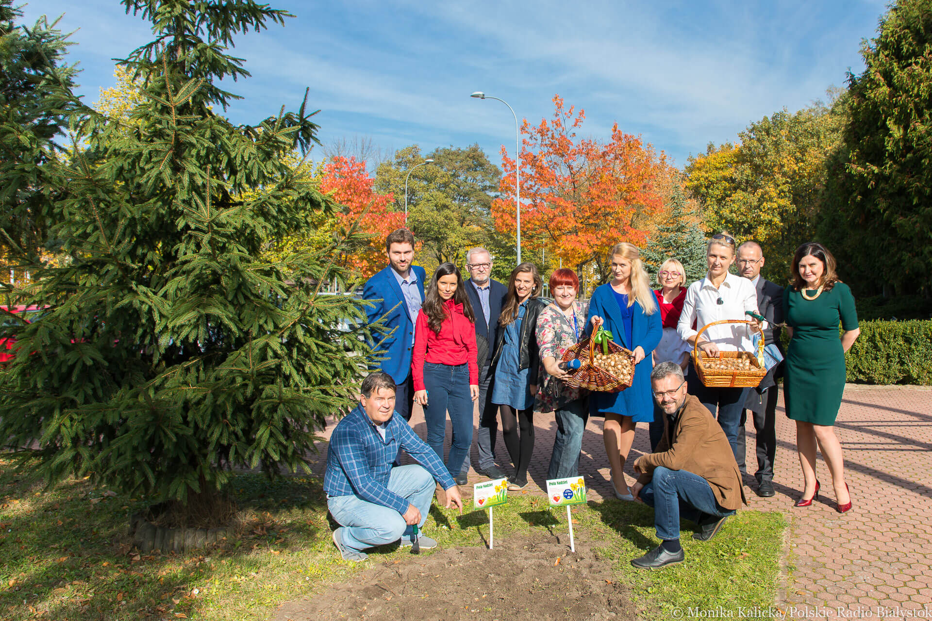 Kolejna edycja kampanii "Pola Nadziei" - żonkile zakwitną również przed Radiem Białystok