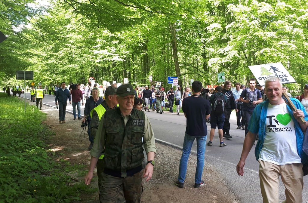 Kraków i Katowice protestują w obronie Puszczy Białowieskiej