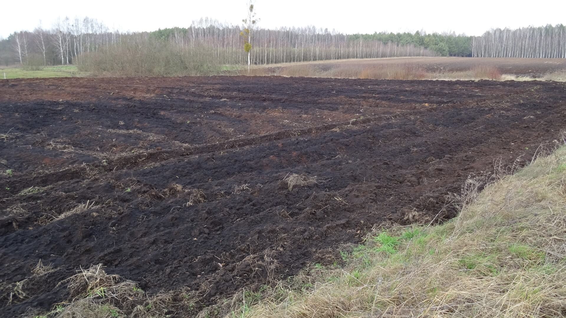 Augustów może rozpocząć wydobywanie borowiny