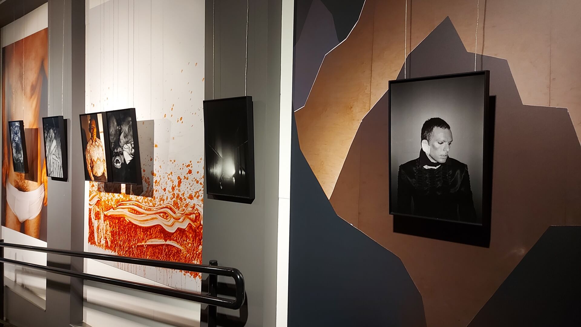 W Galerii Białostockiego Ośrodka Kultury otwarto wystawę fotografii pt. "Lęg"