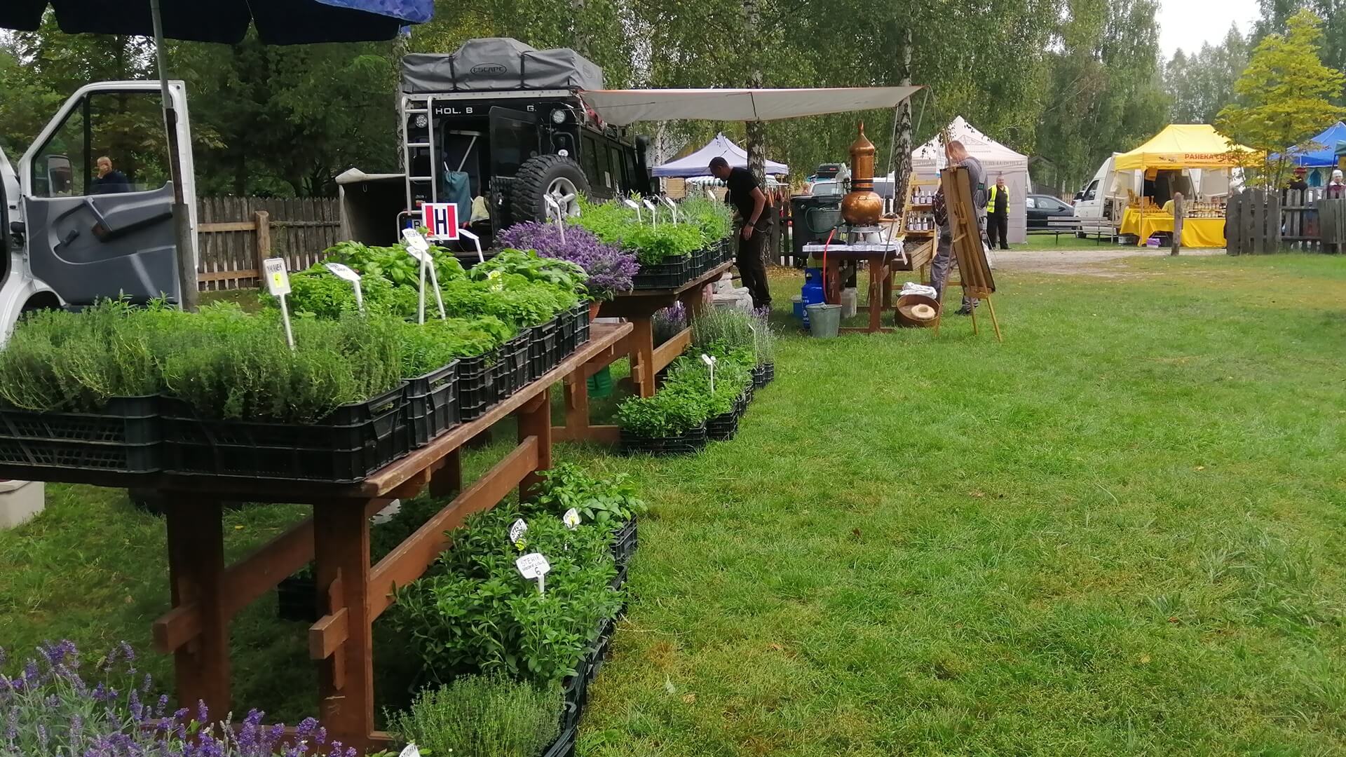 "Podlaskie ziołami pachnące" w Podlaskim Muzeum Kultury Ludowej