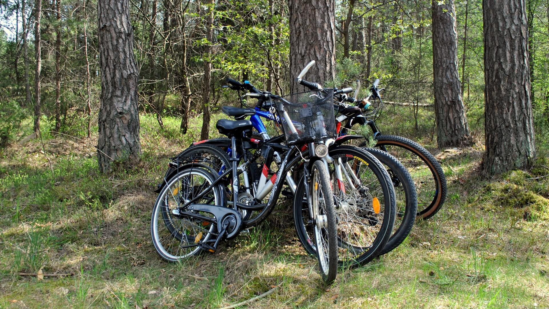 Aż 19 rowerów skradziono w Augustowie od początku roku